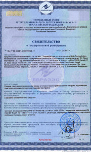 sert_6_b