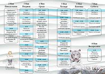 PROGRAMMA s